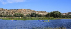 Canoeing on the Verde River at Dead Horse Ranch State Park
