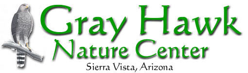 Gray Hawk Nature Center logo