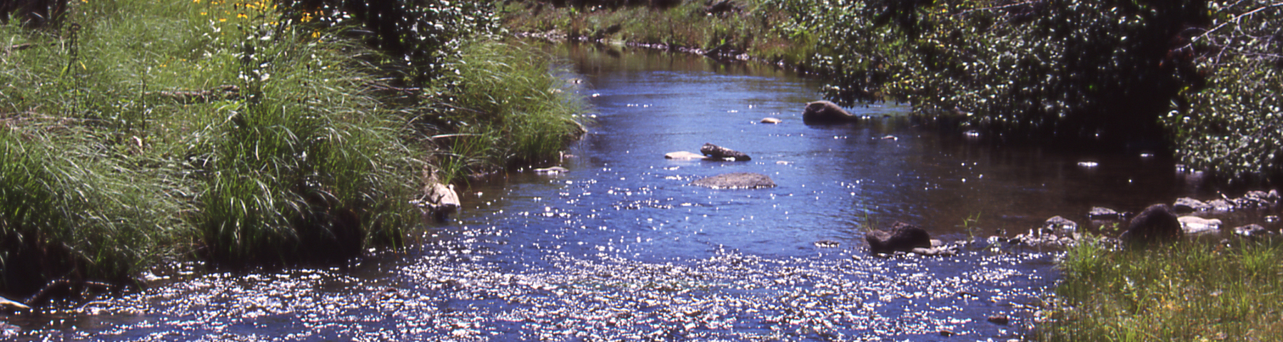 Black River