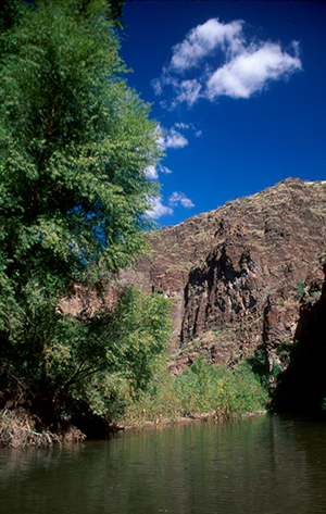 Bonita Creek, Arizona