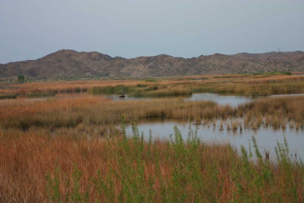 Yuma field trip site