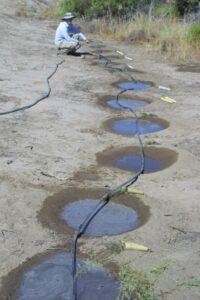 Soaking holes to plant seedlings into.