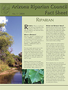 Image of Riparian fact sheet