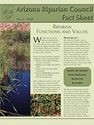 Image of Functions and Values fact sheet