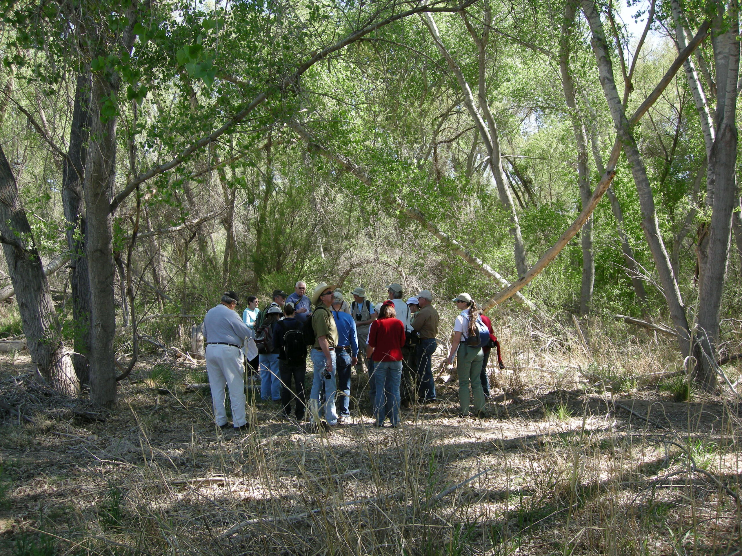 People on a field trip along the Verde River