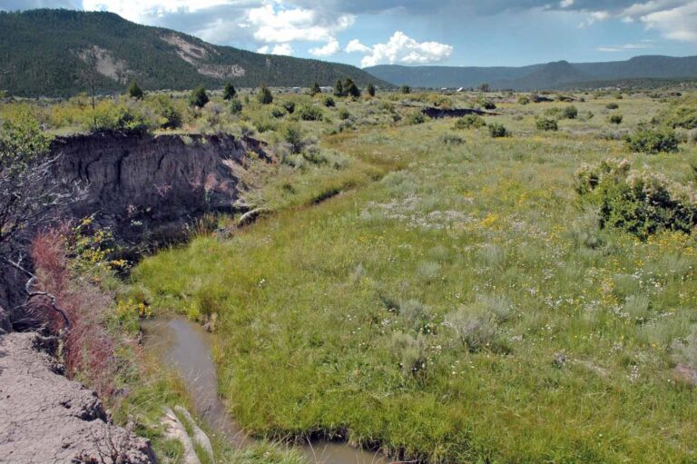 Nutrioso Creek as it flows the EC Bar Ranch