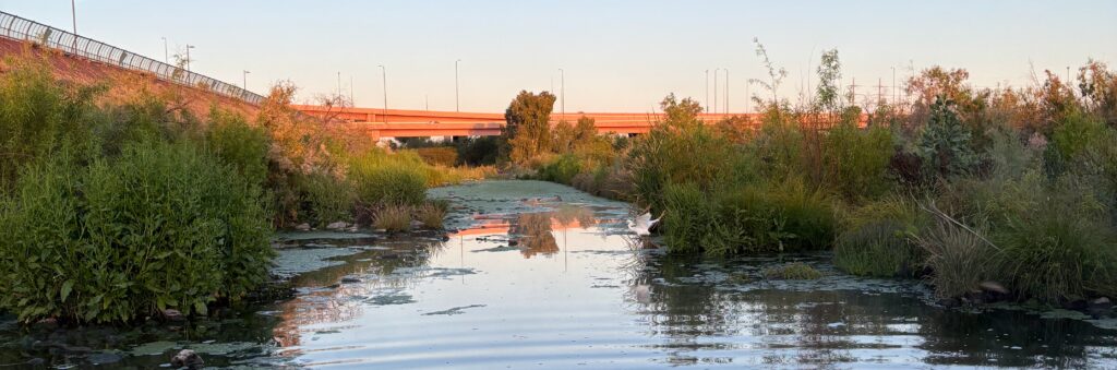 One of Luke's study sites along the Salt River in the Phoenix urban area.