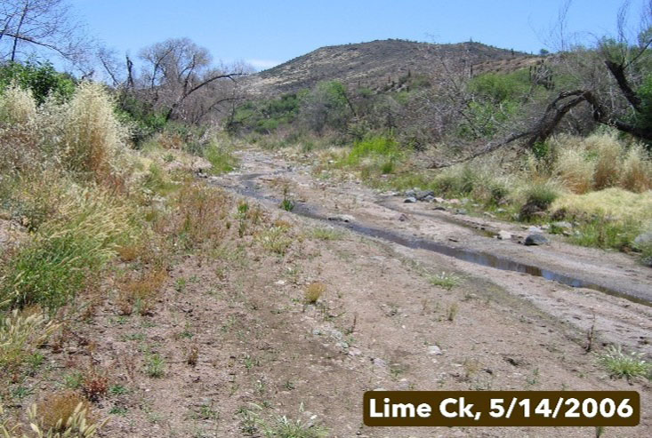 Lime Creek 2006